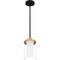 Quoizel Rowland 1-Light Matte Black Mini Pendant ROW1506MBK - alternate 4